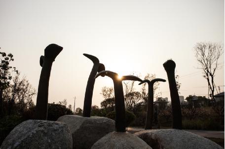 誰，在讓城市雕塑自然生長？