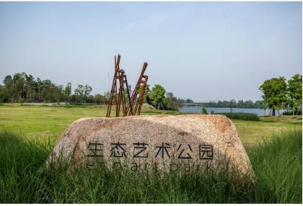 誰，在讓城市雕塑自然生長？